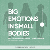 Big Emotions in Small Bodies - TOOLKIT