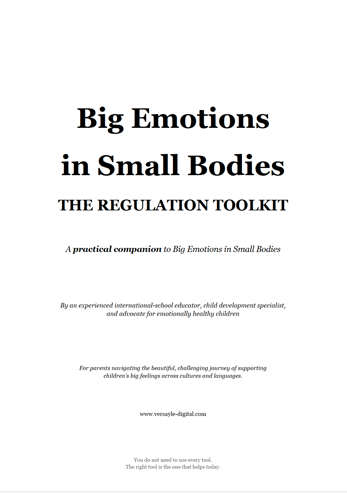 Big Emotions in Small Bodies - THE REGULATION TOOLKIT