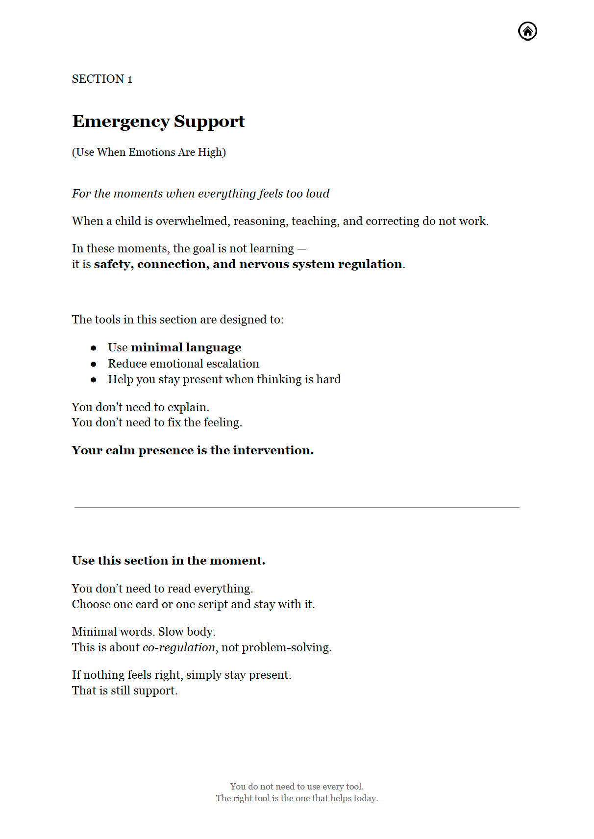 Big Emotions in Small Bodies - THE REGULATION TOOLKIT