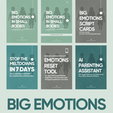 Big Emotions Complete System